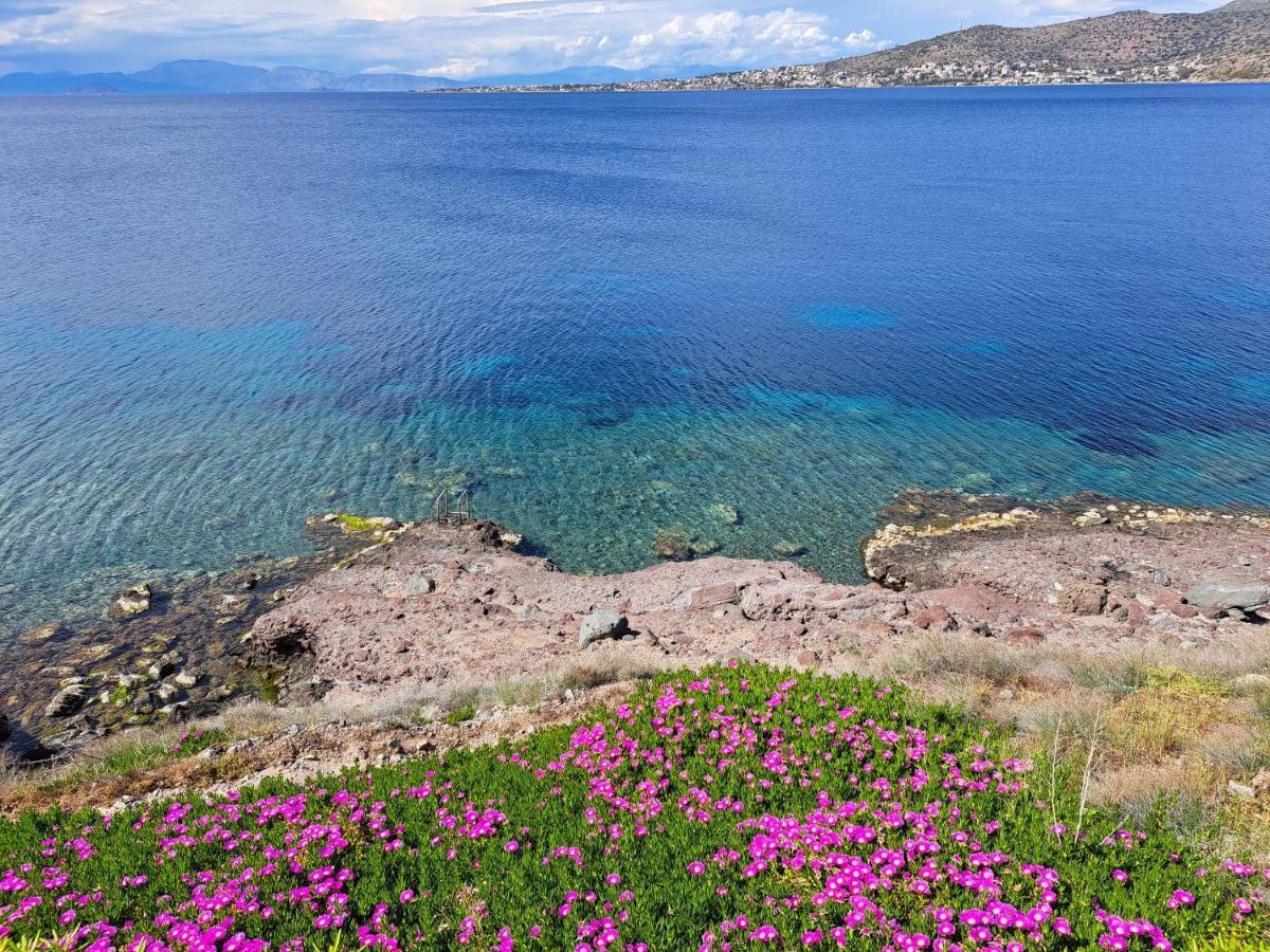 Vila Almyra Seaside Perdika  Exteriér fotografie